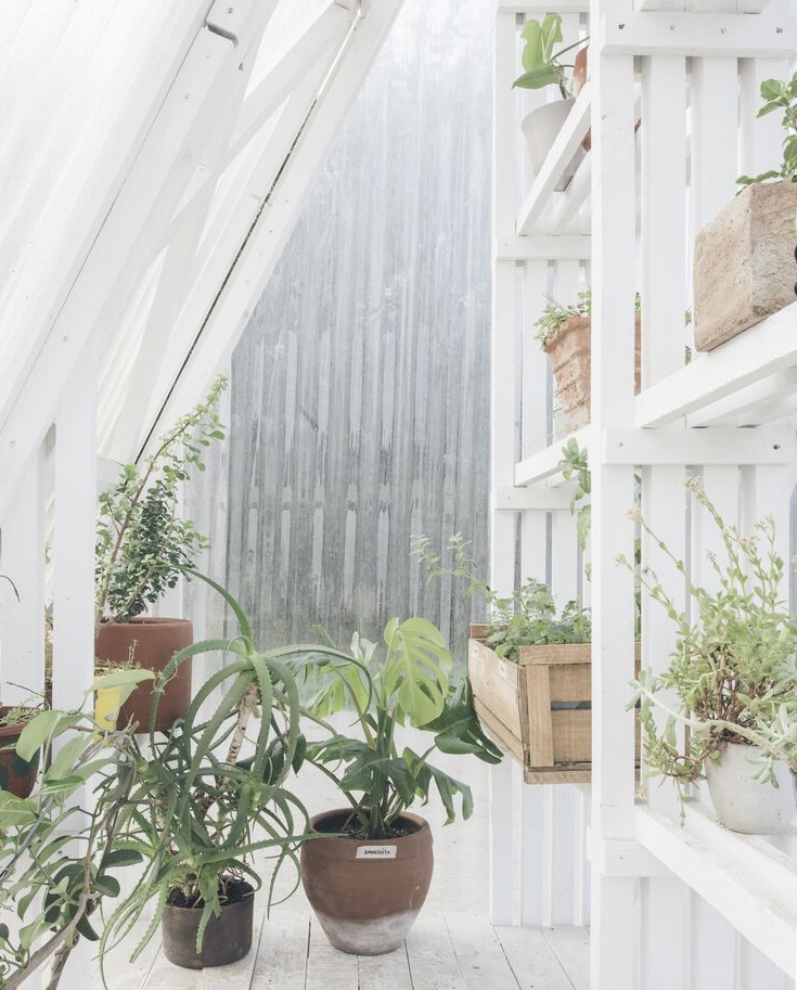 MAROZ LAB - Vista interior con plantas